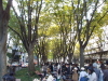 img0019.jpg