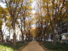 img0020.jpg