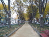 img0022.jpg