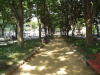 img0024.jpg