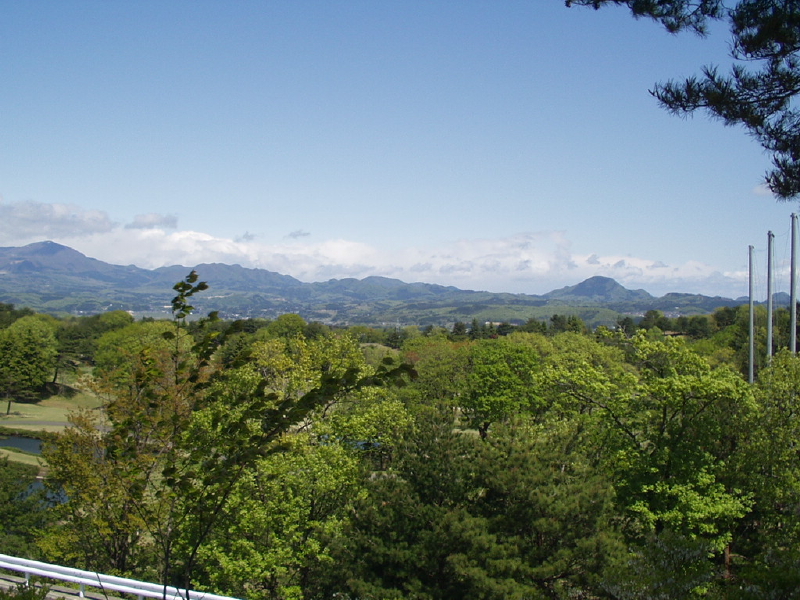 img0006.jpg