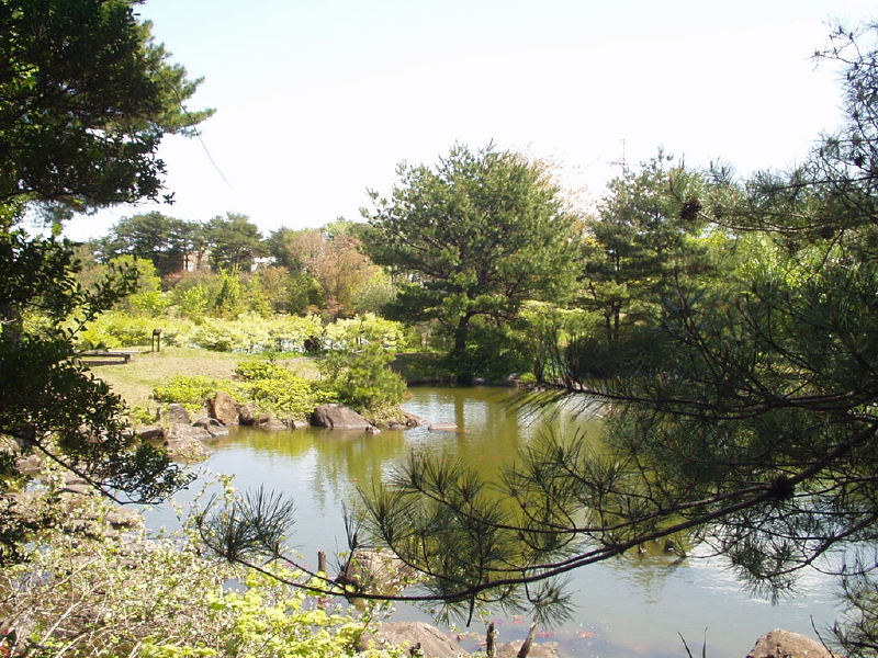 img0007.jpg