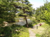 img0003.jpg