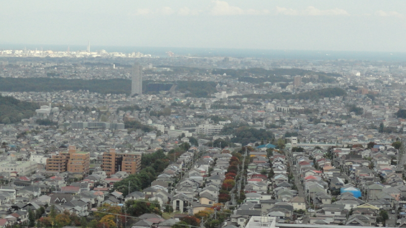 img0028.jpg