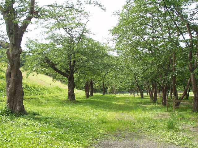 img0003.jpg