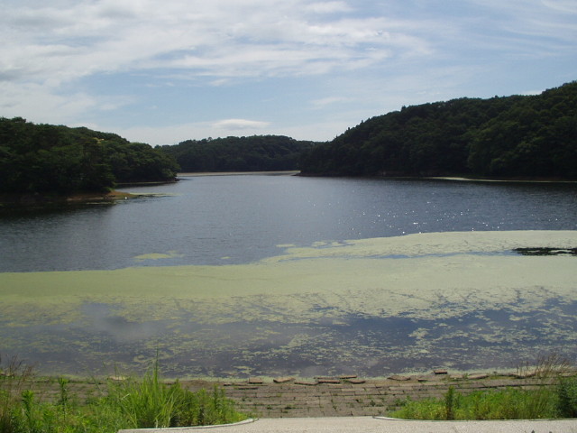 img0004.jpg