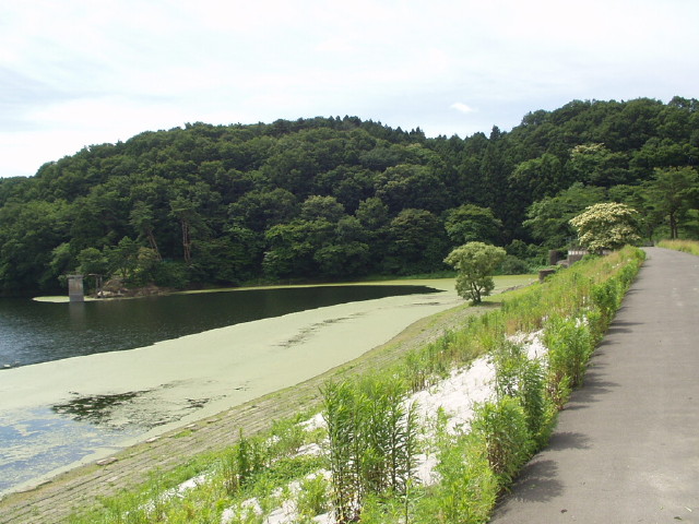 img0005.jpg