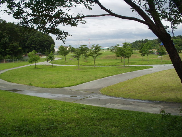 img0008.jpg