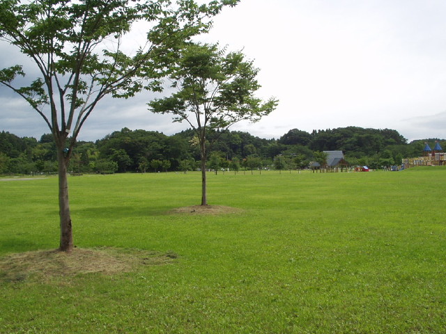 img0009.jpg