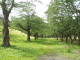 img0003.jpg
