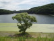 img0006.jpg