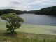 img0007.jpg
