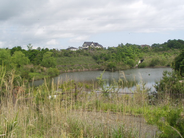 img0000.jpg