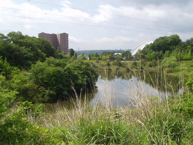 img0004.jpg