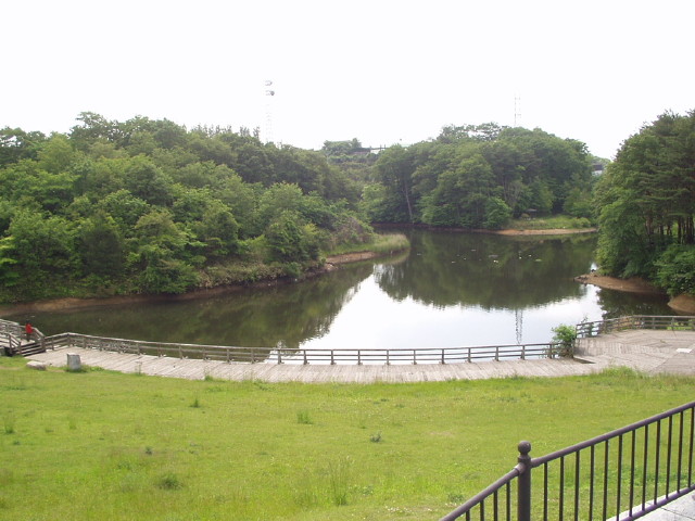 img0007.jpg