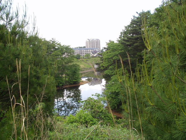 img0009.jpg