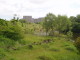 img0001.jpg