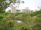 img0002.jpg