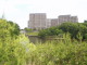 img0003.jpg