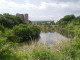 img0004.jpg