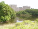 img0005.jpg