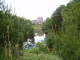 img0009.jpg