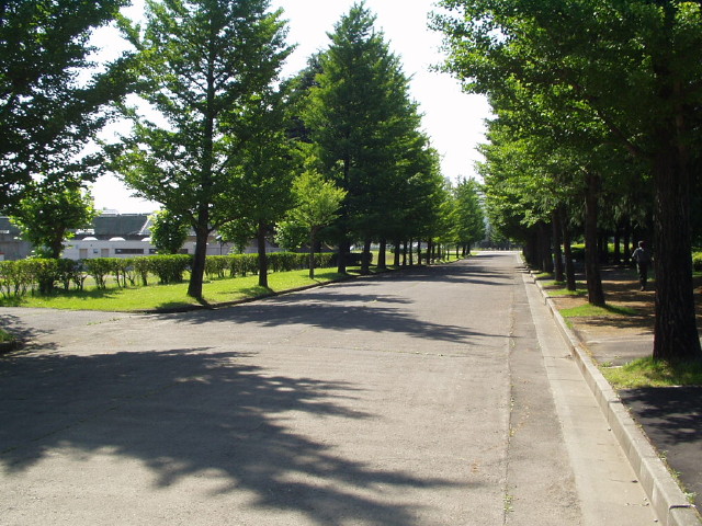 img0005.jpg