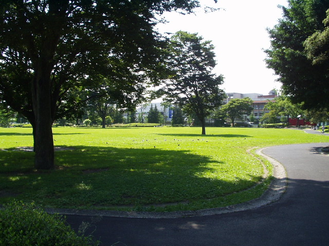 img0007.jpg