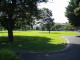 img0007.jpg