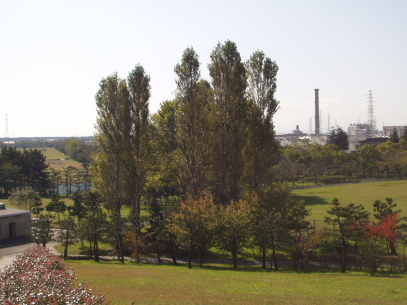 img0013.jpg