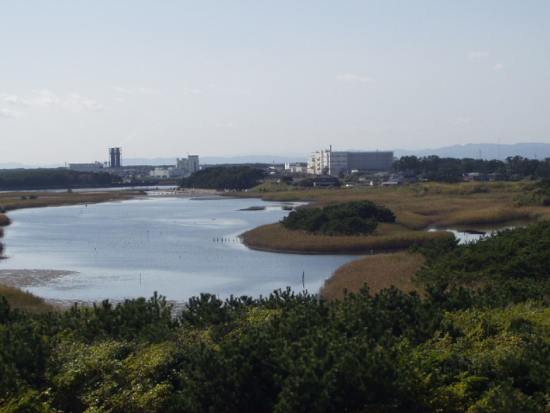 img0019.jpg