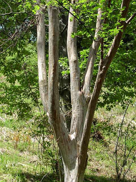 img0025.jpg