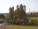 img0013.jpg