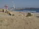 img0022.jpg
