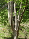 img0025.jpg