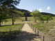 img0005.jpg