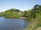 img0007.jpg