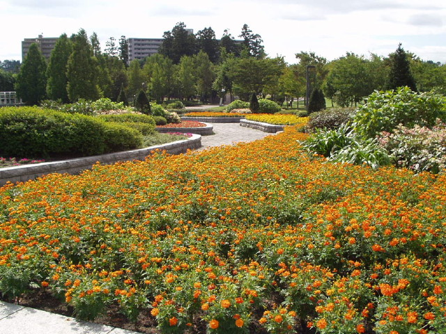 img0005.jpg