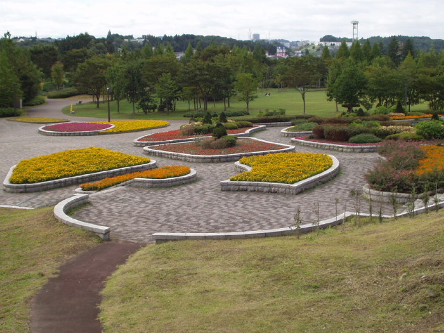img0019.jpg