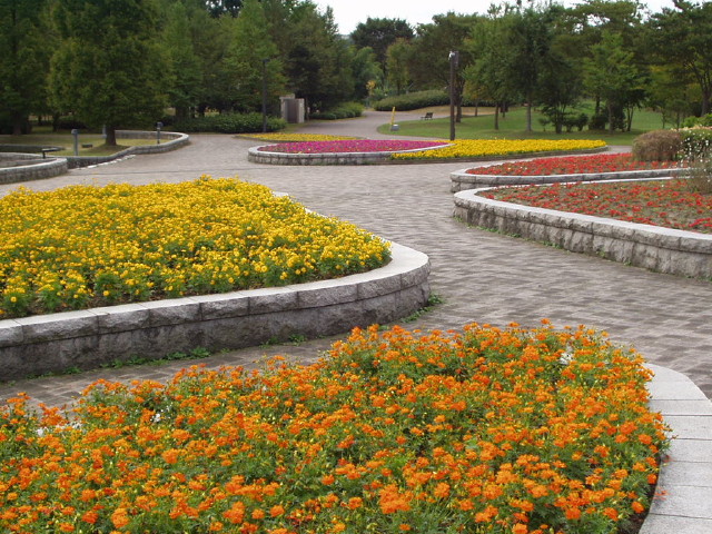 img0022.jpg