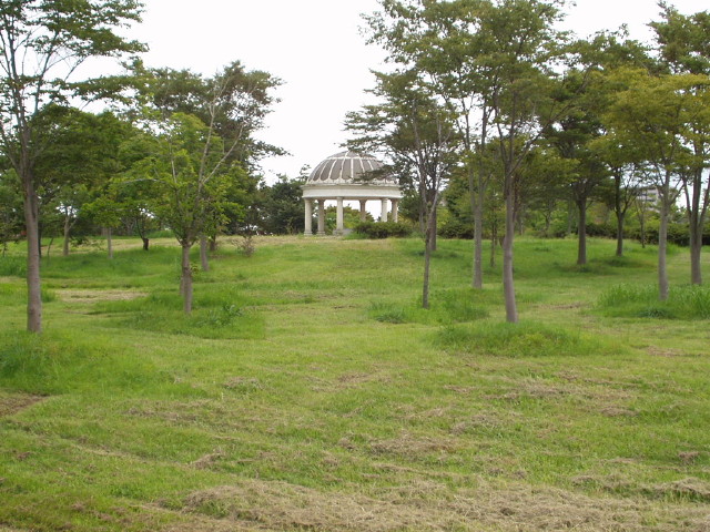 img0030.jpg