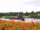 img0003.jpg