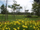 img0025.jpg