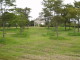 img0030.jpg