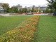 img0032.jpg