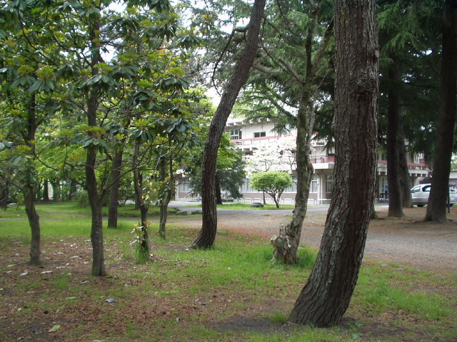 img0003.jpg