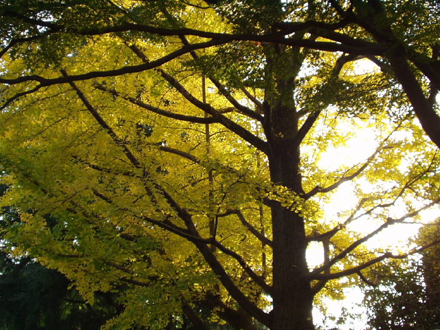 img0005.jpg