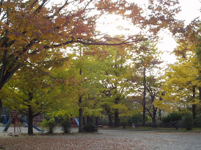 img0006.jpg