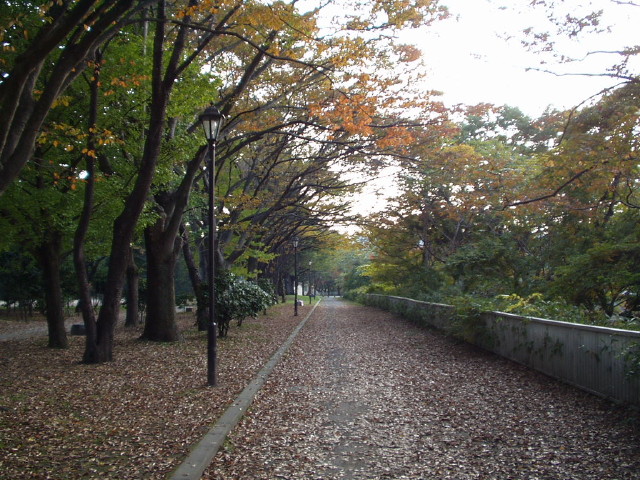 img0007.jpg