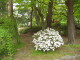 img0004.jpg